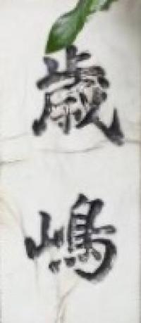 歳嶋