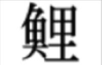 鯉渕