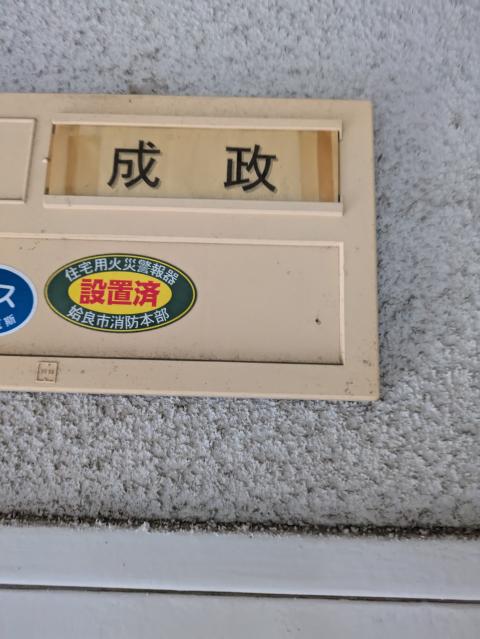 成政