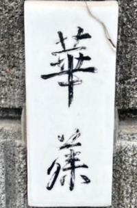 華藤